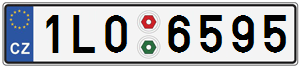 1L06595