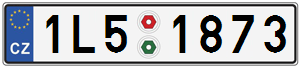1L51873