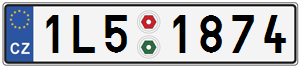 1L51874