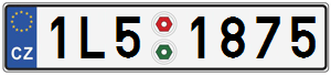 1L51875