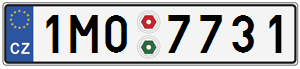 1M07731