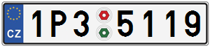 1P35119