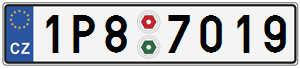 1P87019