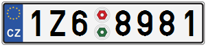 1Z68981